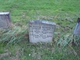 image of grave number 355797